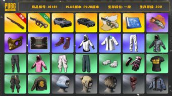 绝地求生（PUBG）小战神 保时捷卡宴 金面 丸子头 孙悟空M24 兰博奢华SUV 萨芬裤 橙色狂怒之雾 - M79 白战神 弥诺陶洛斯AUG 弥诺陶洛斯AUG异色 西游记套装 星魂虎虎生威大礼包 拉风龙套装 烟枪 兰博基尼 保时捷