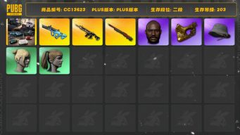 绝地求生（PUBG）[CC13623]CC13623/可排位/2段/203级/12张图纸/阿斯顿马丁跑车/6级猪八戒M4/2级孙悟空M24/1级权志龙AUG/烈日s1897异色/金面/黑鬼/双马尾/丸子头/2渔夫帽/青海摇