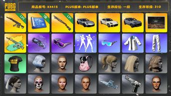 绝地求生（PUBG）[K4415]1段310级 信誉3 3级妖魔+异色 1级s1897 烟枪 滑雪镜 