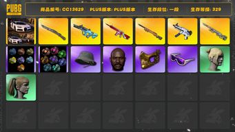 绝地求生（PUBG）[CC13629]CC13629/可排位/1段/329级/3张图纸/烟枪/烟雾弹/帕拉梅拉/卡宴/布加迪/6级无信号M4/3级猛虎98k/2级权志龙AUG/2级夜曲M24/1级无重力/1级幽影残魂AWM/2星魂套装/滑雪镜/滑雪帽/金面/黑鬼/双马尾/丸子头/脏辫/渔夫帽