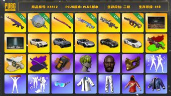 绝地求生（PUBG）[K4412]2段478级 信誉2 9级美杜莎  2级塞壬 2级午夜+异色 1级魔咒 1级大菠萝+异色 1级牛头+异色 烟弹 三保时捷 马丁跑车 迈凯伦 小绿头 黑鬼 金面 