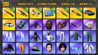 绝地求生（PUBG）[K4416]2段141级 信誉4 5级美杜莎 5级孙悟空 2级无重力 1级时光 1级小兔 烟雾弹 卡宴 布加迪 黑鬼 金面 滑雪镜 白战神 ningning winter