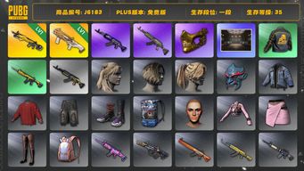 绝地求生（PUBG）亚特兰蒂斯DBS，小兔MK12，沙悟净套装，金面仓库多枪皮，