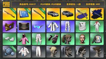 绝地求生（PUBG）[K4417]1段128级 信誉3 3级夜曲+异色 1级s1897+异色 13图纸 保时捷911 卡宴 白熊 小马尾 丸子头 