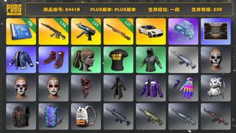 绝地求生（PUBG）[K4418]1段239级  信誉3  帕梅  6级妖魔  1级寒蚀  1级夜曲  小马尾  二代老鼠台夹克