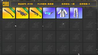 绝地求生（PUBG）弹珠AUG,沙悟净mini，1897原皮，星魂猛虎下山男装套，星魂眼睛，