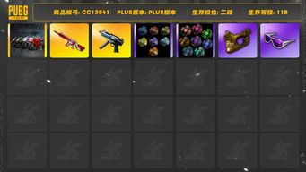 绝地求生（PUBG）[CC13641]CC13641/可排位/2段/118级/烟枪/烟雾弹/卡宴/杜卡迪/7级无信号M4/1级寒烛MP5/星魂套装/绿东/滑雪镜/金面/青海摇