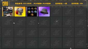 绝地求生（PUBG）[CC13636]CC13636/可排位/1段/164级/烟枪/阿斯顿马丁SUV/2阿斯顿马丁跑车/小丑女/电磁背包/小战神/渔夫帽