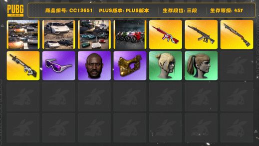 绝地求生（PUBG）[CC13651]CC13651/可排位/3段/457级/1张图纸/卡宴/迈凯伦/兰博基尼跑车/阿斯顿马丁跑车/杜卡迪/5级无信号M4/2级烈日s1897/1级妖魔ACE/1级赛博MK12/妖魔ACE异色/烈日s1897异色/滑雪镜/金面/黑鬼/双马尾/丸子头/白熊