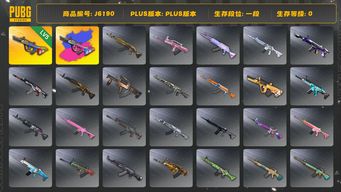 绝地求生（PUBG）详情看图