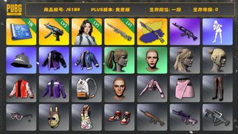 绝地求生（PUBG）3级寒蚀 1级awm 喷子异色 瀚娜成品 