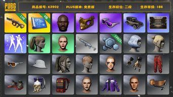 绝地求生（PUBG）[K3902] 2段186级 信誉1 未开通排位 8级弥诺陶洛斯 小马尾 丸子头 黑鬼 金面 滑雪镜 工坊布加迪未作出