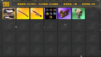 绝地求生（PUBG）[CC13674]CC13674/可排位/1段/480级/2张图纸/烟枪/兰博基尼SUV/2级无信号M4/1级午夜惊魂98k/发光手臂/金面/丸子头