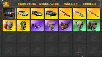 绝地求生（PUBG）[CC13667]CC13667/可排位/3段/252级/后街车库/2张图纸/13000聚合物/帕拉梅拉/911/卡宴/杜卡迪/小丑女/小丑男/7级无信号M4/1级魔咒mk12/1级夜曲m24/1套1代女团/星魂套装/绿东/拉风龙套装/卧底套装/圣诞套装/竞猜裤/滑雪镜/滑雪帽/金面/粉头/双马尾/丸子头/脏辫/白熊/青海摇/大摆锤