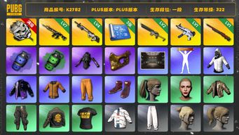 绝地求生（PUBG）[K2782]322级 信誉3 7级猪八戒 4级赛博 3级白虎锅 2级沙悟净 1级无重力 1级孙悟空 3图纸 烟雾弹 金面 小马尾 丸子头 老鼠台夹克 反光夹克 禅意夹克 发光手 