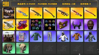 绝地求生（PUBG）[K-0425G]2段496级 信誉4 10级牛头+异色 3级无信号 3级魔咒 1级烈日喷 1级妖魔 1级午夜 寒蚀异色 烟枪烟弹 8图纸 布加迪 卡宴 电磁包 白战神 染血裤 小战神 小绿东 小黄东 发光手 丸子头 小马尾 黑鬼 金面 牛角 25女团两套