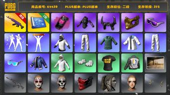 绝地求生（PUBG）[K4439]2段375级 信誉2 10级美杜莎 烟弹 白战神 小绿东 星魂套装 发光手 白熊脚 牛角 金面 滑雪镜