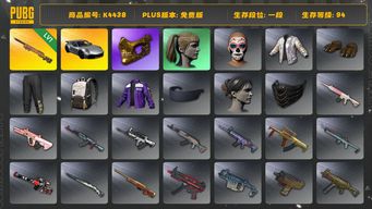 绝地求生（PUBG）[K4438]1段94级  信誉2  911  工坊里有布加迪终极版  1级夜曲  金面  小马尾