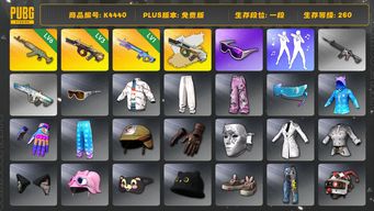 绝地求生（PUBG）[K4440]1段260级 信誉3 6级水麒麟 3级牛头+异色 1级魔咒 滑雪镜