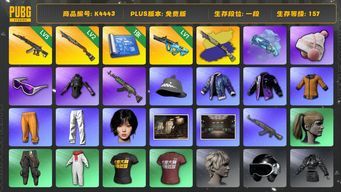 绝地求生（PUBG）[K4443] 1段157级  信誉1  5级妖魔  2级烈日+异色  1级权志龙  烟枪  1图  小马尾  滑雪镜  滑雪帽  winter  发光手  黄东