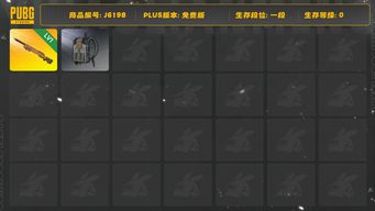 绝地求生（PUBG）M24原皮，灰色电磁包工坊套装太多太多