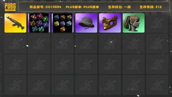 绝地求生（PUBG）[CC13694]CC13694/没开排位/1段/312级/3张图纸/烟枪/烟雾弹/7级青龙/金面/双马尾/渔夫帽