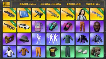 绝地求生（PUBG）[K4444]4段484级  信誉4  9级霓虹 2级寒蚀 2级水麒麟 2级恶魔 1级魔咒 1级牛头 烟弹 2图纸 兰博suv 改名卡 黑鬼 金面  渔夫帽