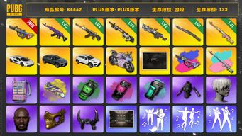 绝地求生（PUBG）[K4442]4段133级  信誉4  三兰博  杜卡迪  10级爆裂+异色  5级美杜莎  4级恶魔  4级赛博  2级刻耳柏洛斯  1级猛虎  1级德拉贡+异色  烟枪烟弹  9s  黑鬼  金面  发光手  白战神  黄东  DANIELLE  HAERIN