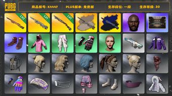 绝地求生（PUBG）[K4447]1段30级 信誉2 2级夜曲+异色 1级AWM+异色 1级s1897 黑鬼 丸子头 