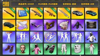绝地求生（PUBG）[K4453]4段228级 信誉4 5级孙悟空 2级火麒麟 2级朱雀 1级玩偶大炮 美杜莎异色 4图纸 保时捷911  双马丁 滑雪镜 金面 