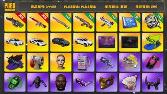 绝地求生（PUBG）[k4450]5段500级 信誉4 10级霓虹 10级无信号+异色 9级彩虹 6级火麒麟 4级无重力+异色 2级白虎 烟弹烟枪 丑女 全套新女团 全套一代女团 三兰博 布加迪 尼尔大礼包 黑鬼 金面 滑雪镜 牛角 渔夫帽