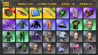 绝地求生（PUBG）[K4454]1段215级 信誉2 3级牛头 3级唐三藏 1级玩偶大炮 烟雾弹 2图纸 金面 电磁包 