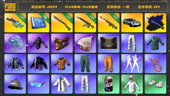 绝地求生（PUBG）黄东 时光SKS 小马尾 发光手臂 金面 保时捷 权志龙AUG 小绿东 烈日灼烧S1897 蓝色魔法迷雾 - M79 妖魔ACE 保时捷911 夜曲M24异色 Pigff套装 aespa女团 星魂虎虎生威大礼包 拉风龙套装 小叮当套装 烟枪 保时捷