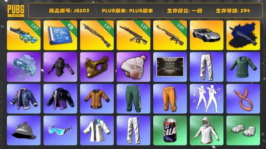 绝地求生（PUBG）黄东 时光SKS 小马尾 发光手臂 金面 保时捷 权志龙AUG 小绿东 烈日灼烧S1897 蓝色魔法迷雾 - M79 妖魔ACE 保时捷911 夜曲M24异色 Pigff套装 aespa女团 星魂虎虎生威大礼包 拉风龙套装 小叮当套装 烟枪 保时捷