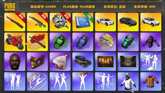 绝地求生（PUBG）[K4460]5段500级 信誉4 10级孙悟空+异色 10级妖魔 烟枪烟弹 4图纸 兰博suv 布加迪 杜卡迪 黑鬼 金面 小马尾 丸子头 白战神 黄东 发光手  minji karina HANNI 