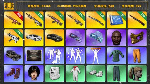 绝地求生（PUBG）[K4455]5段500级 信誉4 10级朱雀 5级赛博 4级火麒麟 3级齿轮大炮 3级猛虎 2级孙悟空 1级无重力 烟枪 2图纸 布加迪 马丁跑车 白熊 黑鬼 金面 winter 