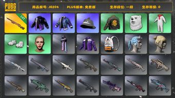 绝地求生（PUBG）详情看图