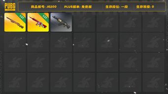 绝地求生（PUBG）无信号M416 PCS2金色成就M762 最后的小夜曲M24 赛车条纹肌肉跑车