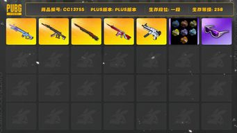 绝地求生（PUBG）[CC13755]CC13755/可排位/1段/258级/1张图纸/烟枪/4级孙悟空M24/1级无信号M4/1级妖魔ACE/1级无重力/1级魔咒mk12/魔咒mk12异色/玩偶大炮异色在工坊/滑雪镜/滑雪帽/白熊