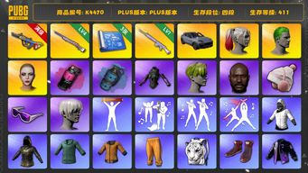 绝地求生（PUBG）[K4470]4段411级  信誉1  卡宴  10级爆裂  4级彩虹  1级玩偶  烟弹  3图  丑男  丑女  黑鬼 滑雪镜  小绿头  GISELLE   9s  发光手  黄东 白战