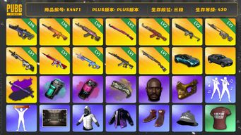 绝地求生（PUBG）[K4471]3段430级 信誉3 6级霓虹 6级南瓜 4级火麒麟 3级午夜+异色  2级圣诞ak  2级沙悟净 1级齿轮大炮  1级赛博 1级无信号 1级魔咒 1级妖魔 1级烈日 烟弹烟枪  兰博suv 马丁跑车  黑鬼 金面 