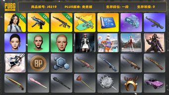 绝地求生（PUBG）瀚娜成品，图纸8，聚合物5630，1级妖魔ACE，妖魔ACE异色，1级寒蚀MP5K,彩色烟枪，绷带AK,甜心AK,维纳斯面容，图纸：mingning女团，蛇蝎美人，2021群雄逐鹿，小兔航空，雪色美人等等，怪盗小兔摩托车，为你疯狂库佩RB,毒蛇猎手装甲车，圣诞快乐吉普车，BP十三万加，自己注册自己玩的，