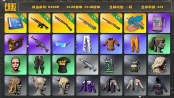 绝地求生（PUBG）[K4469]1段281级 信誉2 4级猪八戒+异色 3级烈日 1级awm 1级夜曲 5图纸 金面 电磁包 黄东  