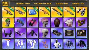 绝地求生（PUBG）[K4467]5段500级  信誉4  小黑盒  8级火麒麟  6级爆裂  3级南瓜  1级赛博  1级幽影  烟枪烟弹  3图  小丑男  粉头  黑鬼  金面  滑雪镜  9s  发光手  一代女团