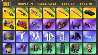 绝地求生（PUBG）[K4473]2段326级 信誉4 5级小兔 3级妖魔 2级DBS 2级玄武 2级午夜 2级彩虹 烟枪烟弹 马丁SUV 杜卡迪 拉风龙 萨芬裤 小马尾 丸子头 金面 牛角 滑雪镜 24女团HANNI