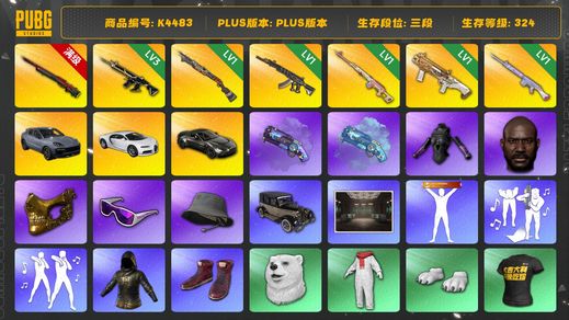 绝地求生（PUBG）[K4483]3段324级 信誉4 10级孙悟空 3级猪八戒 1级s1897 1级妖魔 1级德拉贡 1DBS 1级玩偶大炮 卡宴 布加迪 马丁 烟枪 改名卡 白熊 黑鬼 金面 滑雪镜 渔夫帽