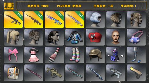 绝地求生（PUBG）[TB26]1段1级（免费版）3级妖魔ACE 1级时光SKS 1级魔咒MK12 1级玩偶大炮 