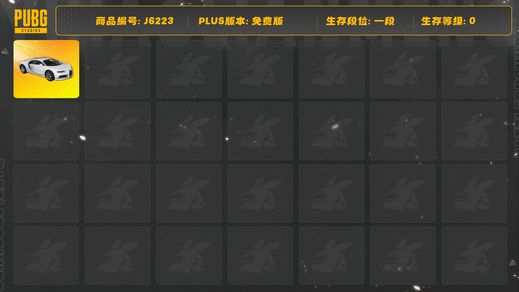 绝地求生（PUBG）有白色布加迪和若干枪皮衣服 无升级武器