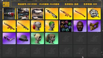 绝地求生（PUBG）[CC13769]CC13769/可排位/5段/500级/改名卡/烟雾弹/兰博基尼SUV/阿斯顿马丁SUV/杜卡迪/小丑男/小丑女/10级南瓜M4/7级赛博mk12/2级圣诞ak/2级白虎锅/2级时光sks/2级午夜惊魂98k/绿东/黄东/白战神/竞猜裤/快手摩托夹克/圣诞套装/滑雪镜/金面/黑鬼/双马尾/丸子头/86渔夫帽/白熊//青海摇/大摆锤