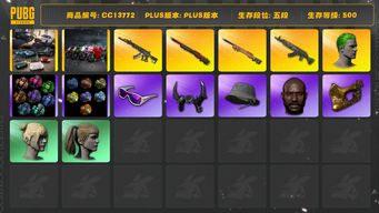 绝地求生（PUBG）[CC13772]CC13772/可排位/5段/500级/烟枪/烟雾弹/阿斯顿马丁跑车/阿斯顿马丁SUV/杜卡迪/小丑男/8级青龙/5级孙悟空M24/2级妖魔ACE/2级夜曲M24/妖魔ACE异色/夜曲M24异色/1套2代女团/电磁背包/绿东/2星魂套装/卧底套装/染血运动裤/拉风龙套装/粉战神/萨芬裤/滑雪镜/滑雪帽/金面/牛角/黑鬼/双马尾/丸子头/脏辫/2渔夫帽/白熊/青海摇